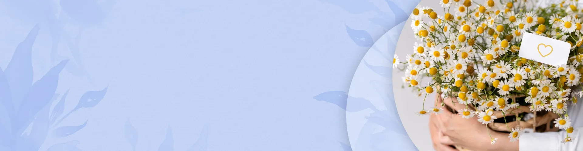 Бонусная программа!