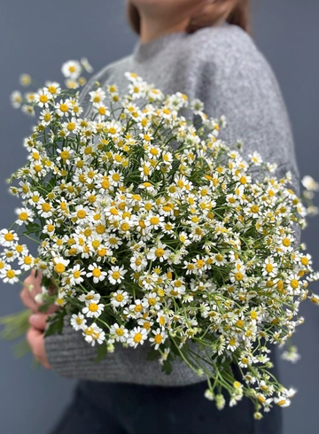 Букет с танацетумом «Приятная встреча» от интернет-магазина цветов в 