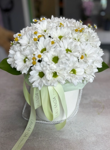 Цветы в коробке «Фиалка» от интернет-магазина цветов в 