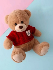 Мягкая игрушка «Мишка в кофточке» от интернет-магазина «» в 