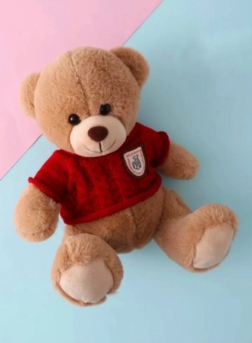 Мягкая игрушка «Мишка в кофточке» от интернет-магазина цветов в 