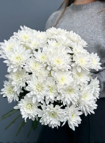 Букет из хризантемы «Аделла" от интернет-магазина цветов в 