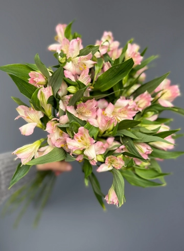 Букет из альстромерии «Колокольчик» от интернет-магазина цветов в 