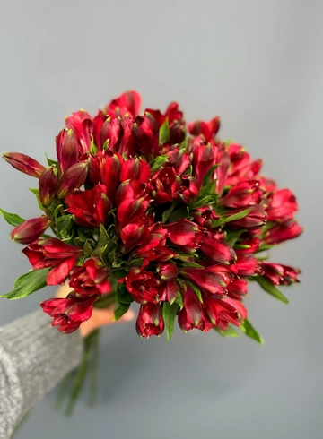 Букет из альстромерий «Рандеву» от интернет-магазина цветов в 