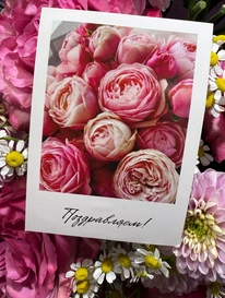 Открытка мини «Поздравляем» от интернет-магазина «» в 