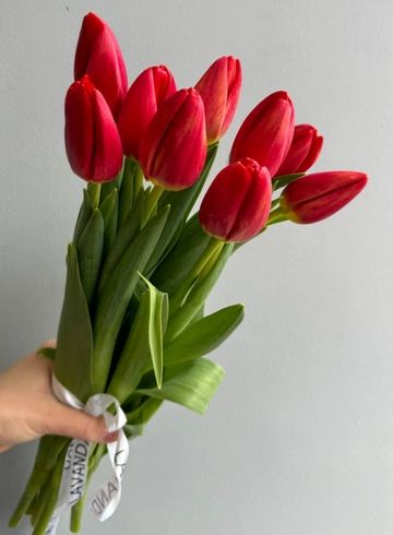 9 тюльпанов от интернет-магазина цветов в 