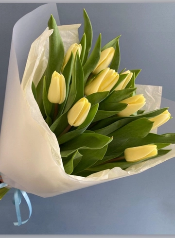 9 тюльпанов в упаковке от интернет-магазина цветов в 